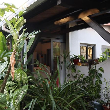 Luxury Cosy Guesthouse Pamplemousses Exterior foto